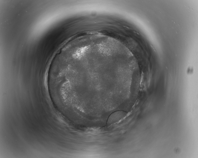 X0000103290099200809191840