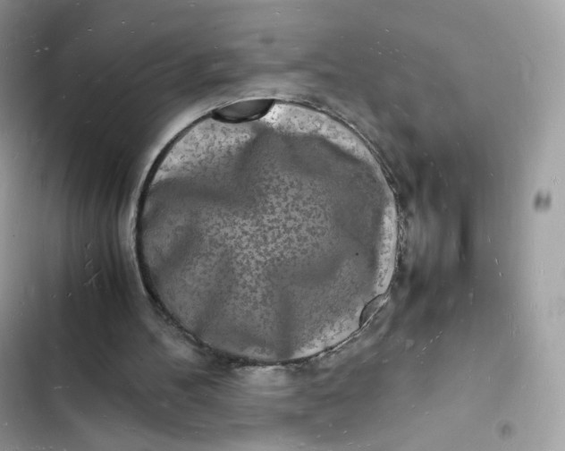 X0000103290100200809191840