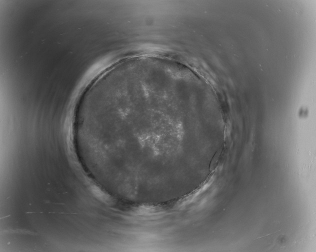 X0000103290101200809191840