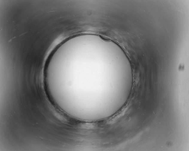 X0000103290102200809191840