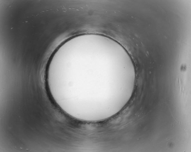 X0000103290103200809191840