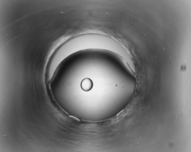 X0000103290104200809191840