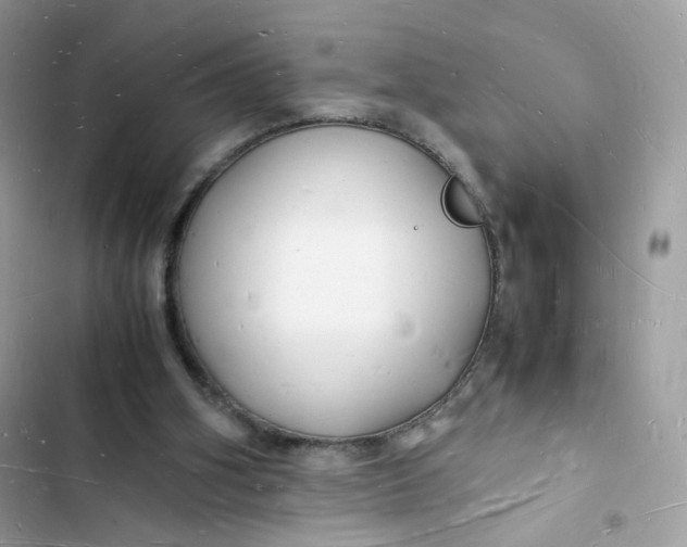 X0000103290106200809191840