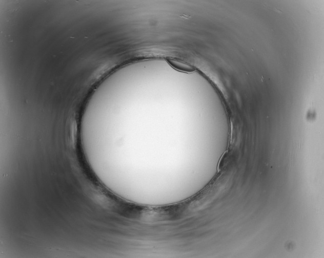 X0000103290109200809191840