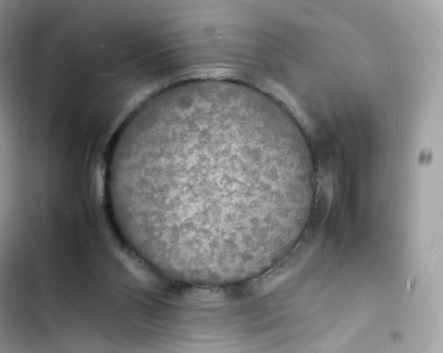 X0000103290110200809191840