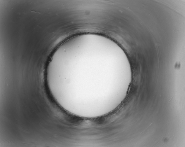 X0000103290111200809191840