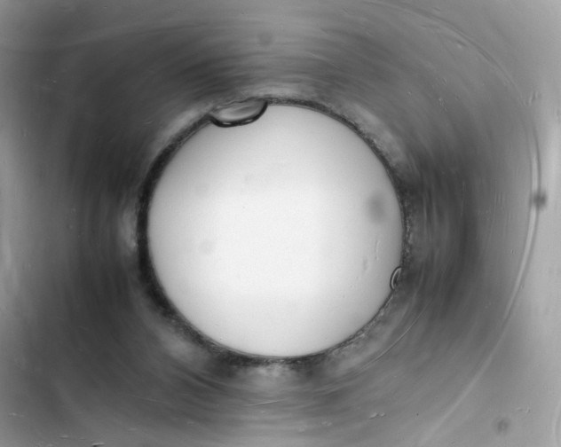 X0000103290112200809191840