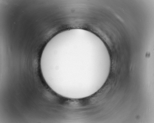 X0000103290113200809191840