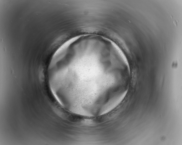 X0000103290114200809191840