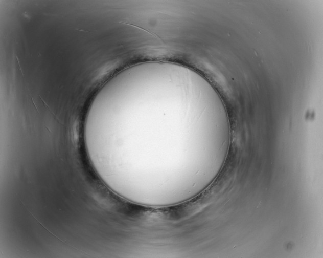 X0000103290115200809191840