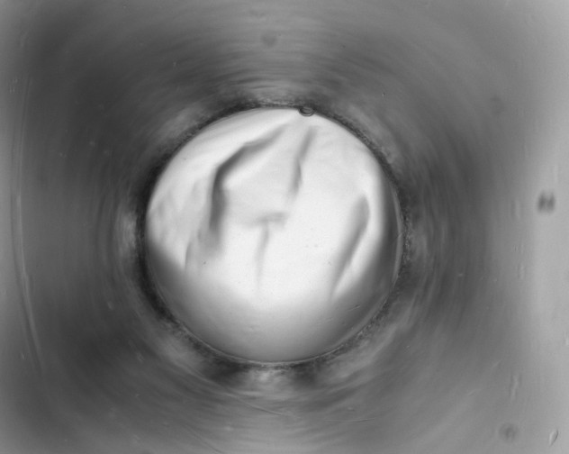 X0000103290117200809191840