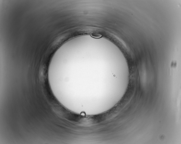 X0000103290119200809191840