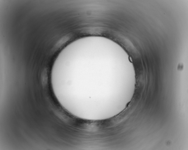 X0000103290120200809191840