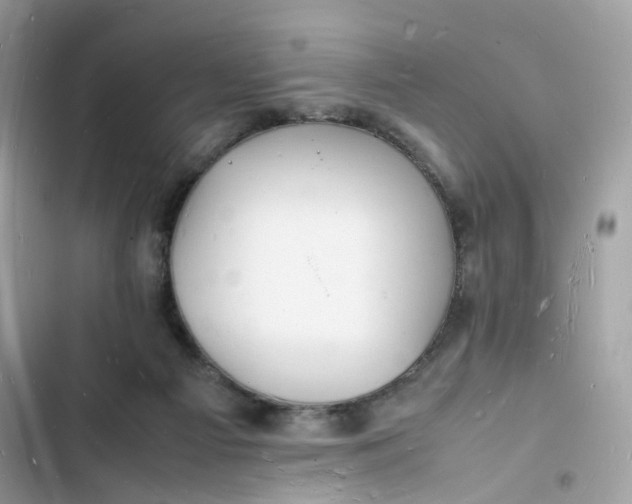 X0000103290121200809191840