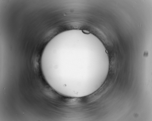 X0000103290122200809191840