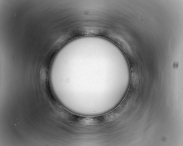 X0000103290123200809191840