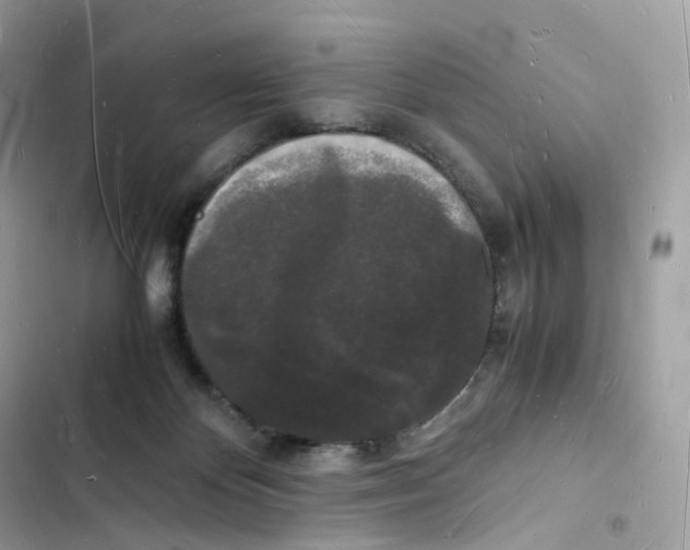 X0000103290124200809191840