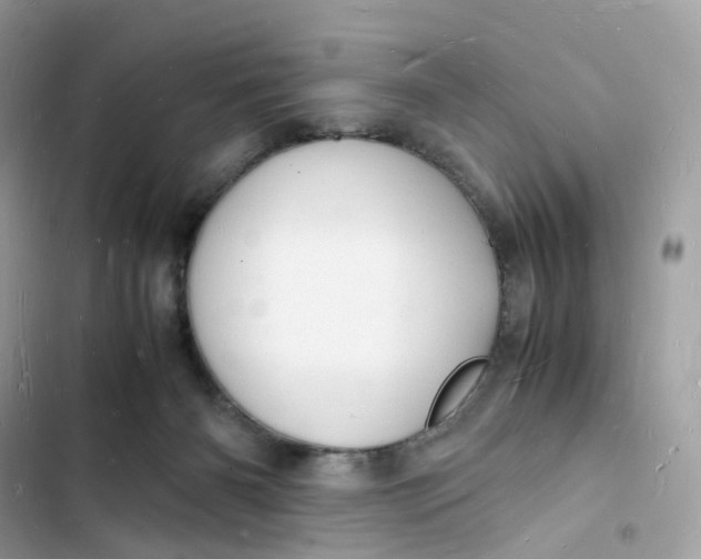 X0000103290126200809191840