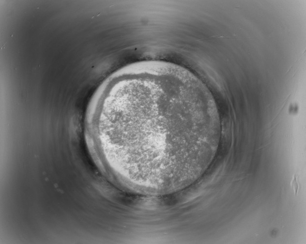 X0000103290127200809191840