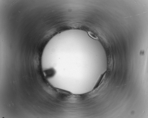 X0000103290128200809191840