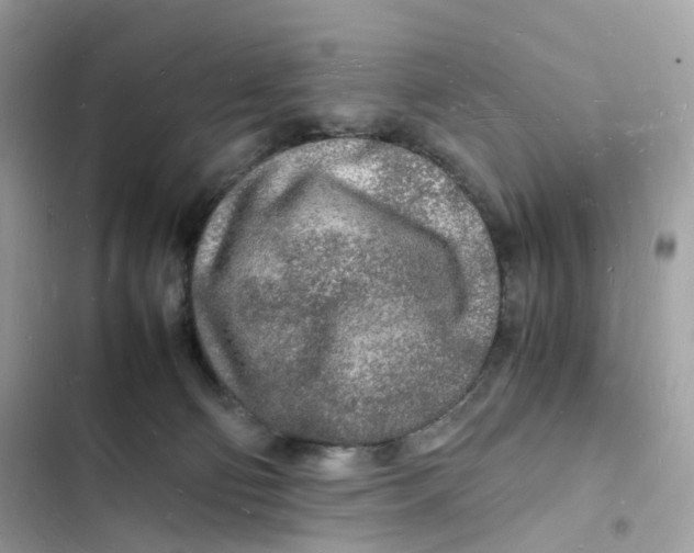 X0000103290130200809191840