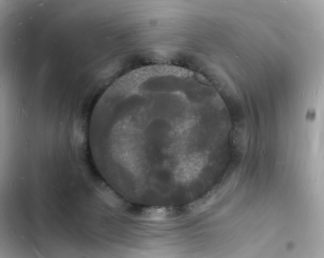 X0000103290131200809191840