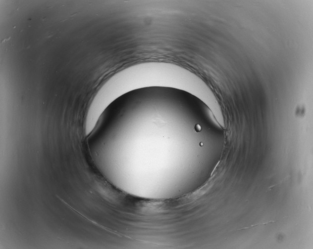 X0000103290132200809191840