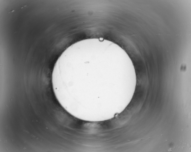 X0000103290133200809191840