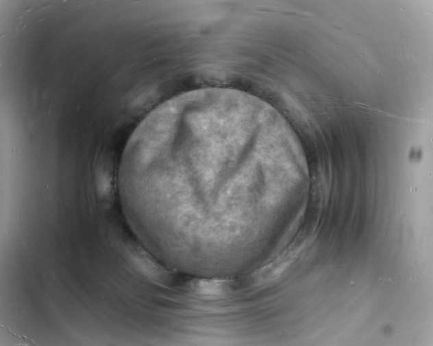 X0000103290134200809191840