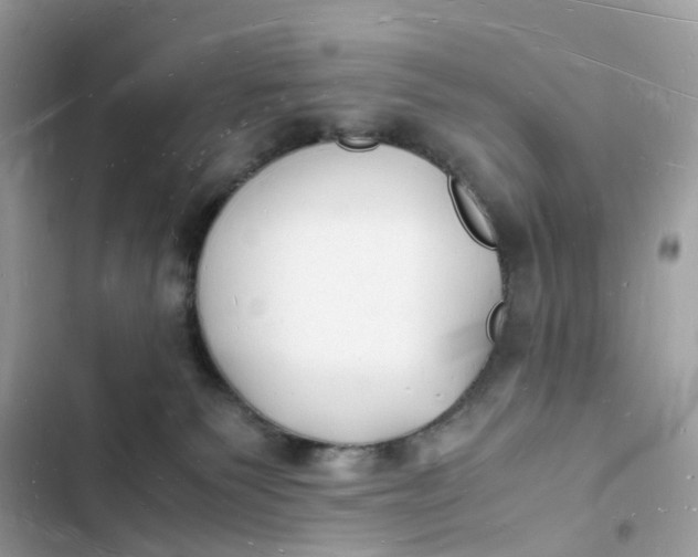 X0000103290135200809191840