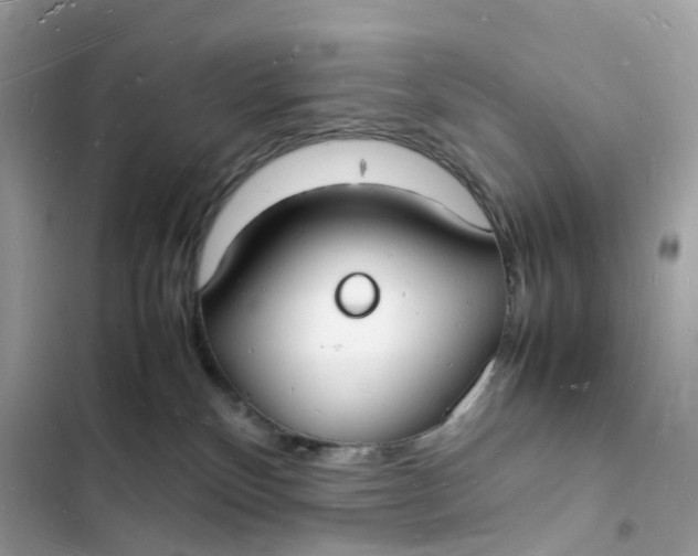 X0000103290136200809191840