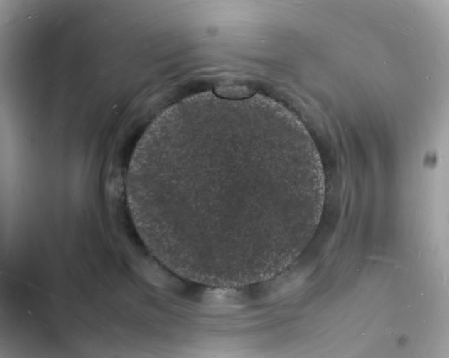 X0000103290137200809191840