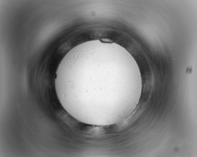 X0000103290140200809191839