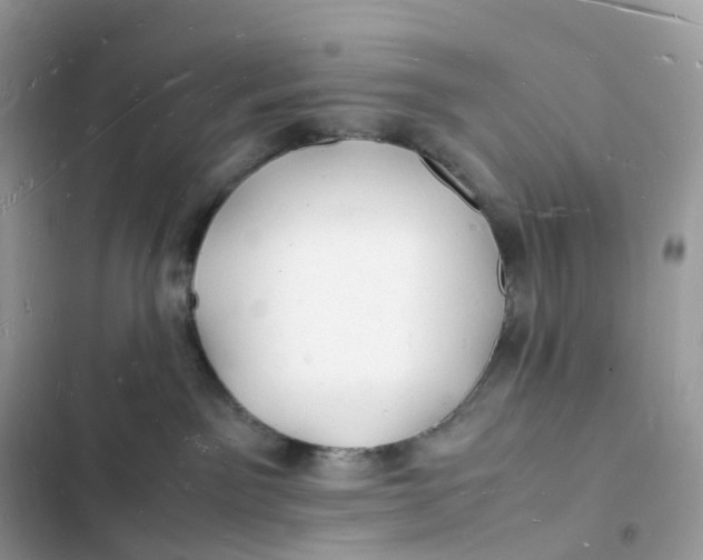 X0000103290141200809191839