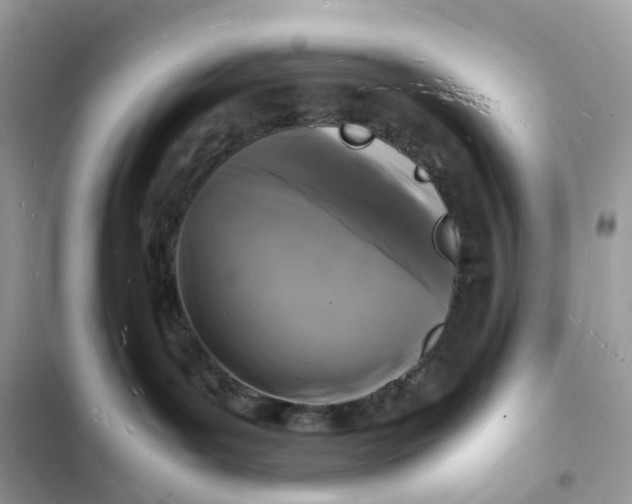 X0000103290143200809191839