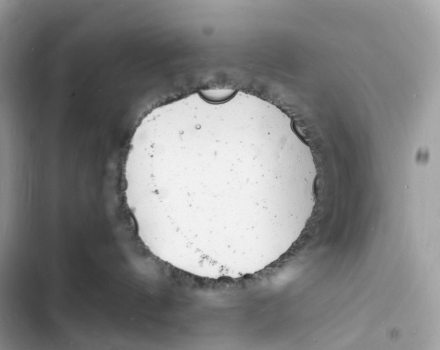 X0000103290144200809191839