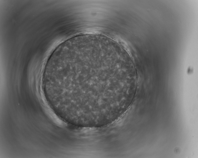 X0000103290145200809191839