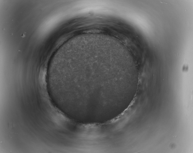 X0000103290146200809191839