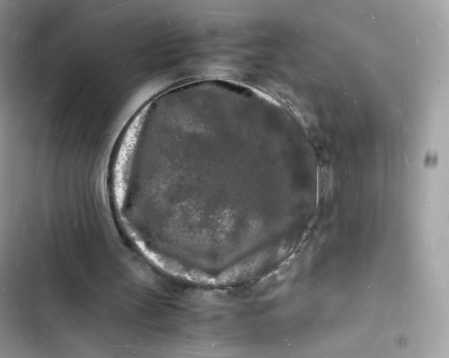 X0000103290147200809191839