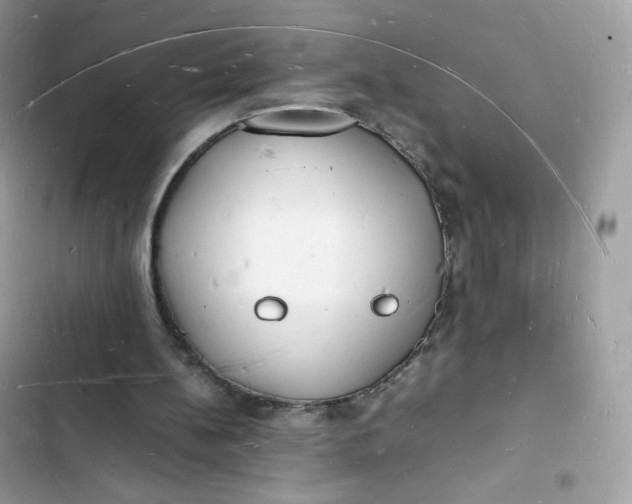 X0000103290148200809191839