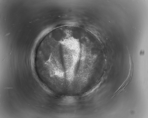 X0000103290149200809191839