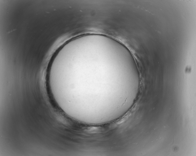 X0000103290151200809191839