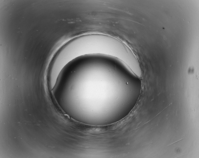 X0000103290152200809191839