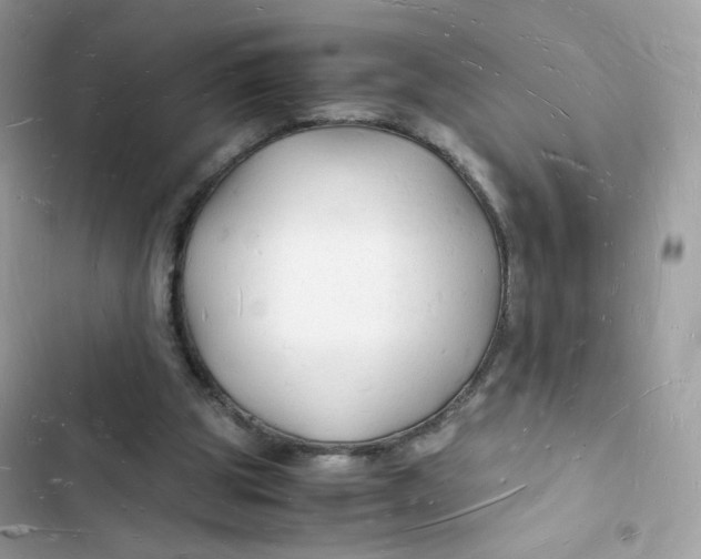 X0000103290153200809191839