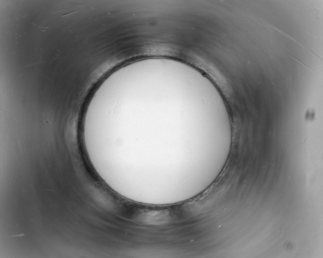 X0000103290155200809191839