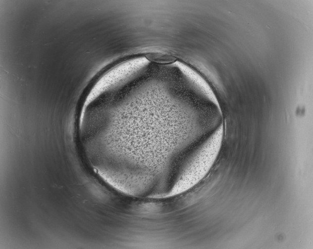 X0000103290156200809191839