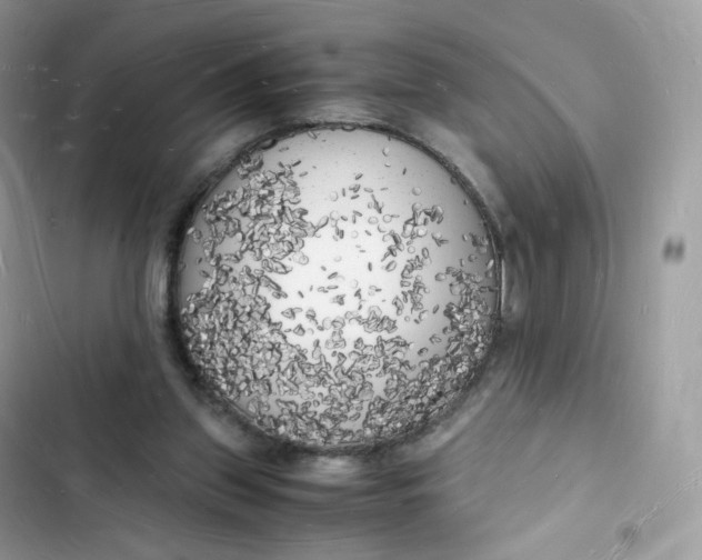 X0000103290157200809191839