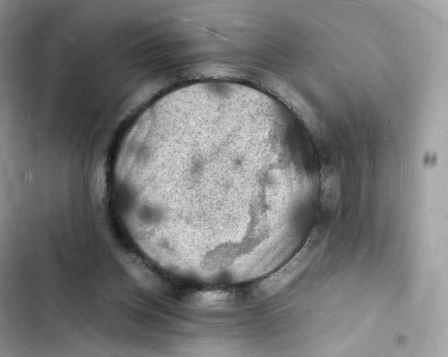 X0000103290158200809191839