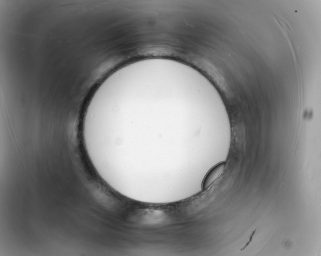 X0000103290159200809191839