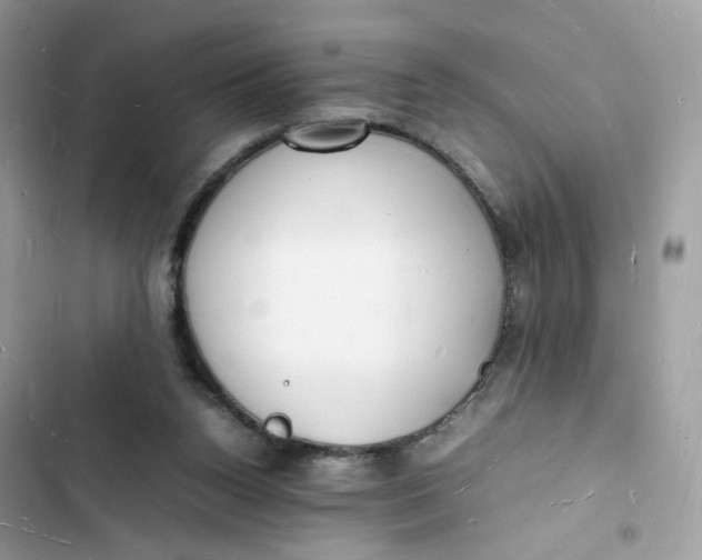 X0000103290160200809191839